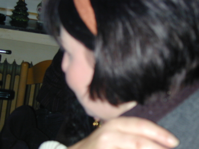 DSCN0390